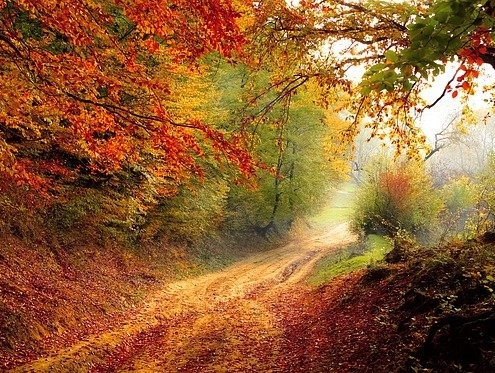 Chemin