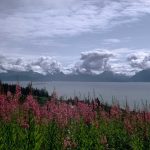 Montagne et fleurs