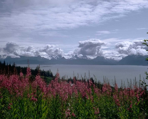 Montagne et fleurs