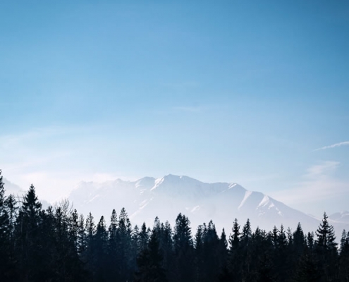 Ciel, montagne, forêt - Photo par Norbert Kundrak (unsplash.com)