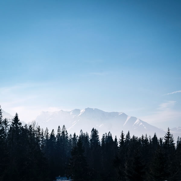 Ciel, montagne, forêt - Photo par Norbert Kundrak (unsplash.com)