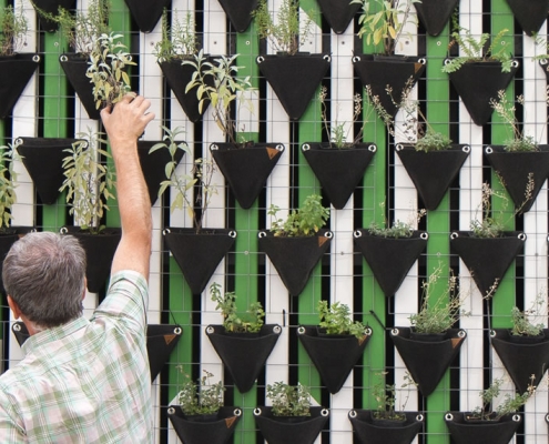 Deux personnes prennent soin de plantes - Photo par Daniel Funesfuentes (unsplash.com)