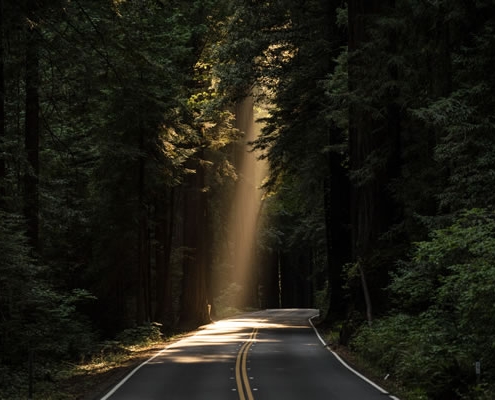 "Lumière sur le chemin" par John Towner (unsplash.com)