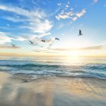 Ciel, soleil et oiseaux par Frank Mckenna (unsplash.com)