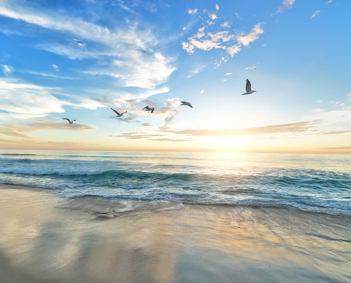Ciel, soleil et oiseaux par Frank Mckenna (unsplash.com)