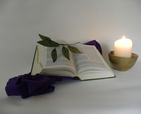 Bible, lumière, feuilles