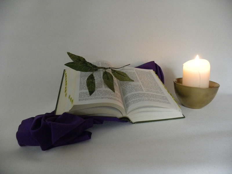 Bible, lumière, feuilles