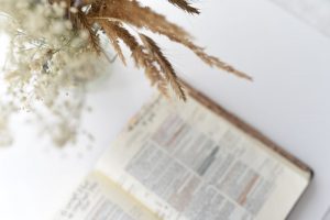 Bible et blé par Jasmin Ne (unsplash.com)