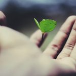 Main et petit plante par Ravi Roshan (unsplash.com)