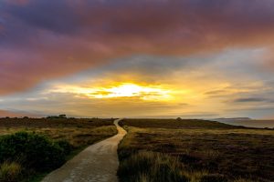 Route, aurore, soleil par Nick Fewings (unsplash.com)