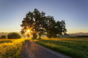 Chemin, horizon, soleil par Jan Huber (unsplash.com)
