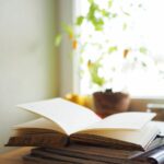 Livres de Fan Wei Lin (unsplash.com)