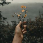 Main et fleurs par Clay Banks (unsplash.com)