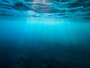 Vers le fond par Christian Palmer (unsplash.com)