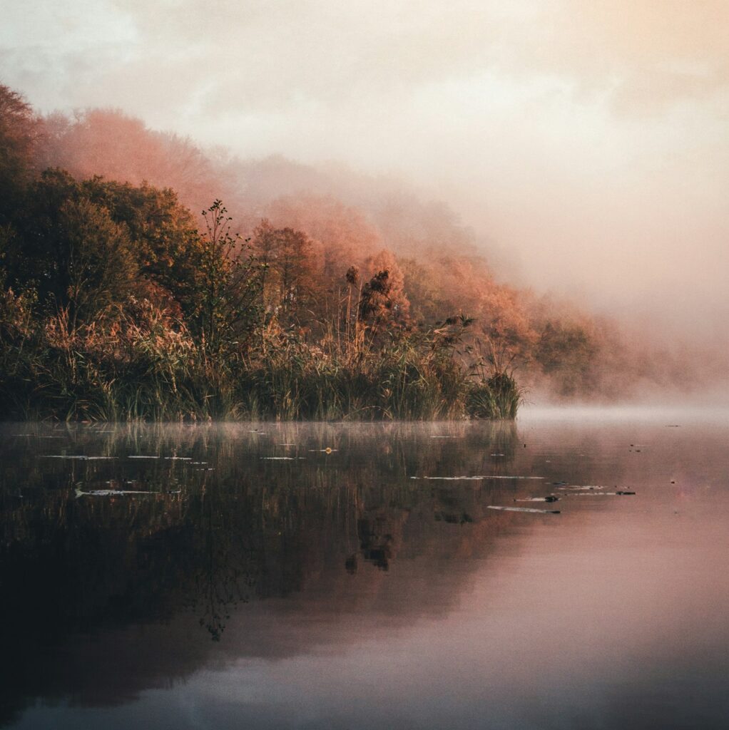 Paysage et eau de Thomas Grams (unsplash.com)