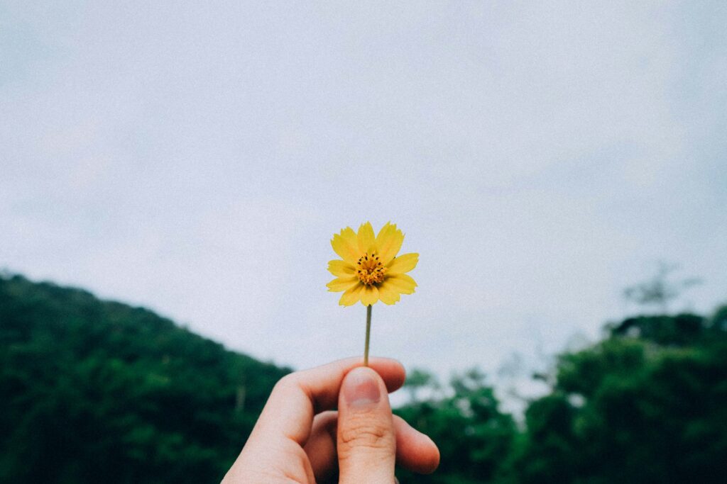 Fleur à la main par Kawin Harasai (unsplash.com)