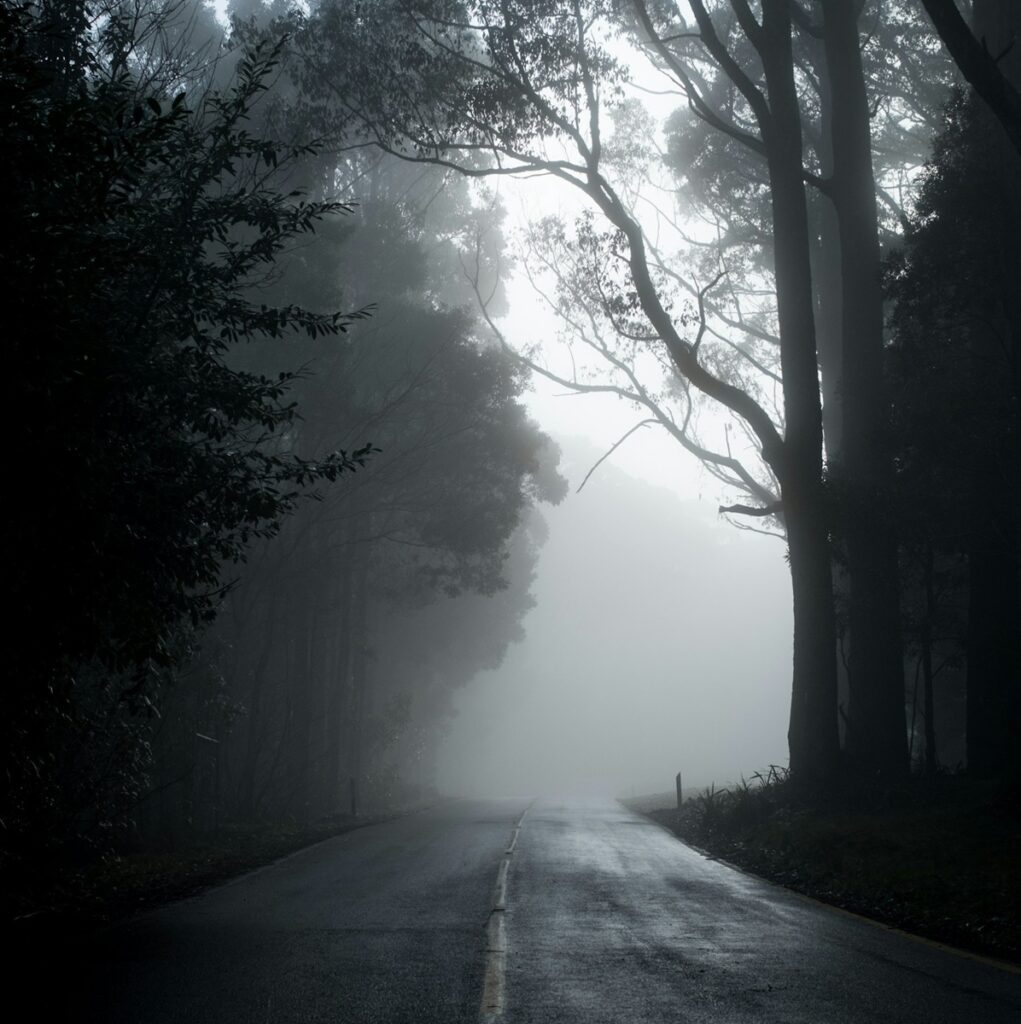 Chemin blanc et noir de Michael Mouritz