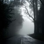 Chemin blanc et noir de Michael Mouritz