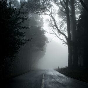 Chemin blanc et noir de Michael Mouritz