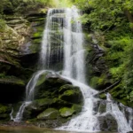 Petite chute dans le bois de Nicole King (unsplash.com)