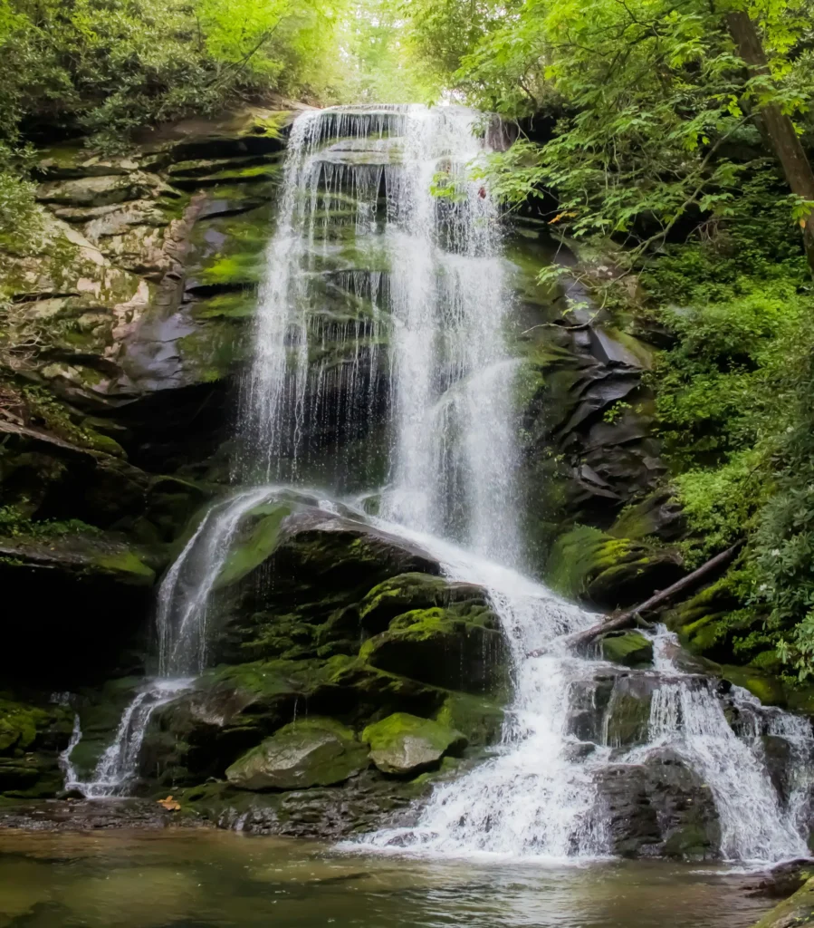 Petite chute dans le bois de Nicole King (unsplash.com)