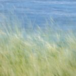 Eau, végétation et vent de Dave Hoefler (unsplash.com)