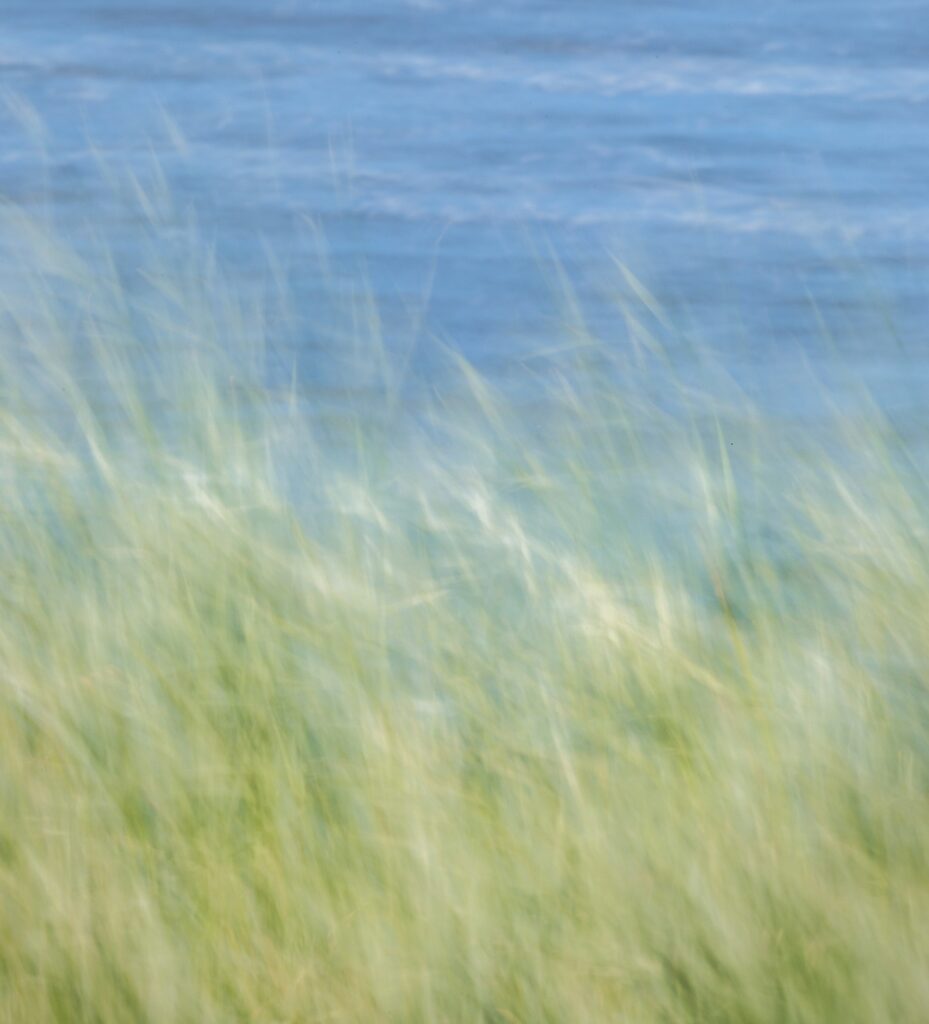 Eau, végétation et vent de Dave Hoefler (unsplash.com)