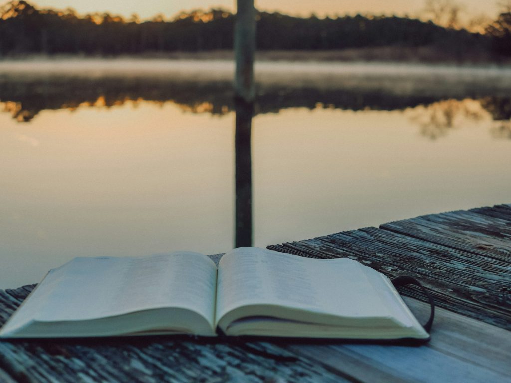 Livre et calme par Michael Eufemia (unsplash.com)