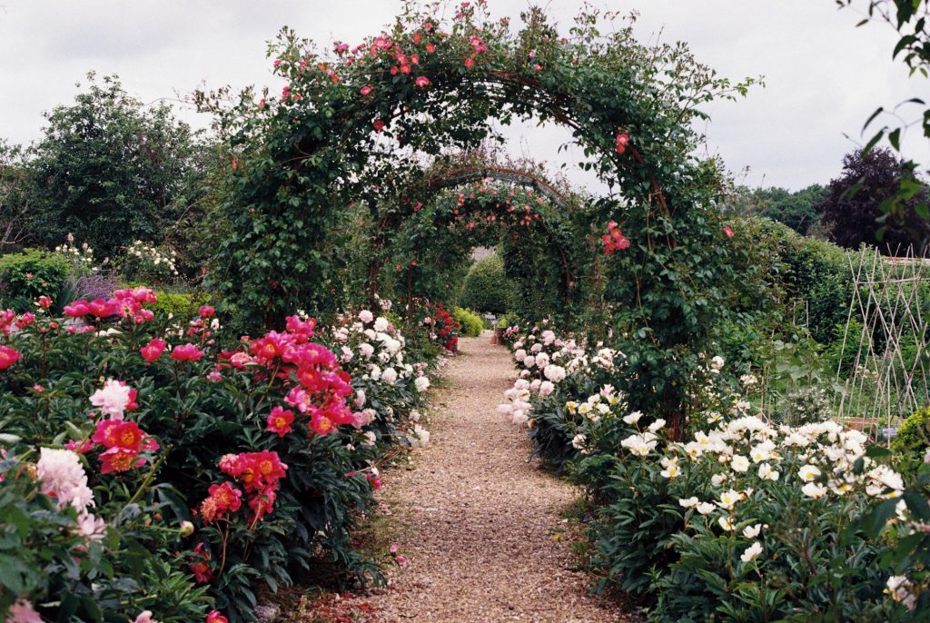 Jardin de fleurs par Annie Spratt (unsplash.com)
